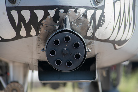 Warthog.jpg