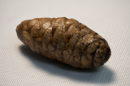 pinecone_pyramid_smoothing6.jpg