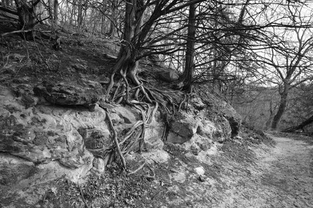 DSCF2641.JPG