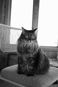 DSCF2690.JPG