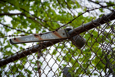 fence.jpg
