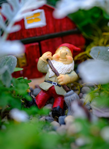 gnome.jpg