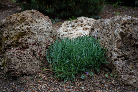 rocks.jpg