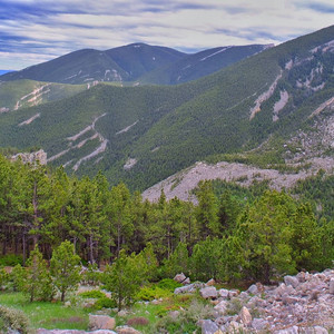 Bighorns02.jpg