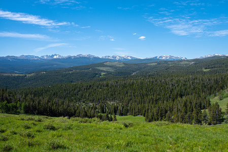 Bighorns03.jpg