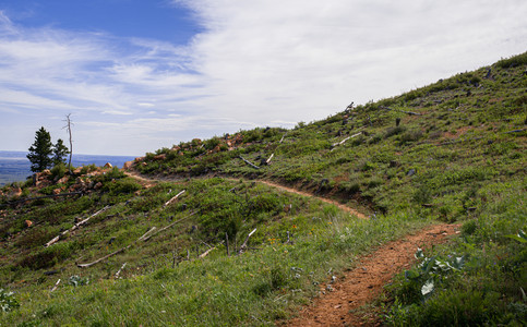 Switchback.jpg