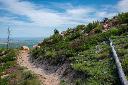 Switchback02.jpg