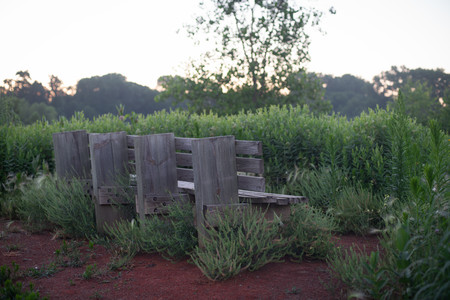 generalmillsbench.jpg