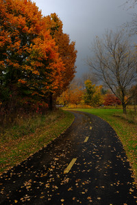 hanrehanautumn.jpg