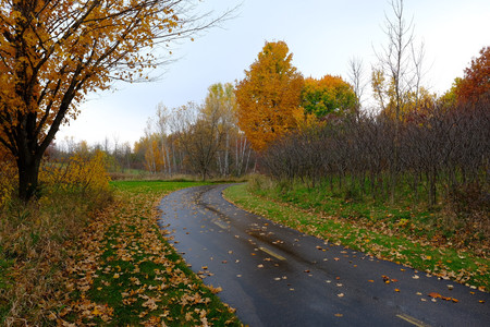 hanrehanautumn02.jpg