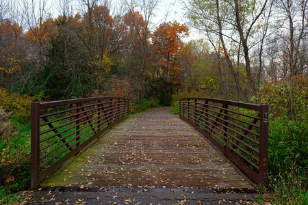 hanrehanautumn03.jpg