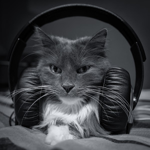 sauronheadphones.jpg