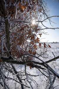 DSC00197.jpg