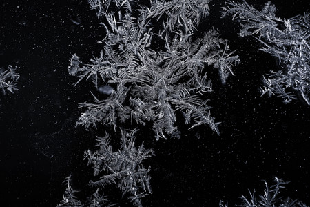 frost.jpg