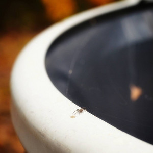 spidertrashcan.jpg